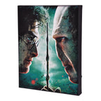 Immagine del prodotto Harry Potter - Harry vs. Voldemort Quadro con luce