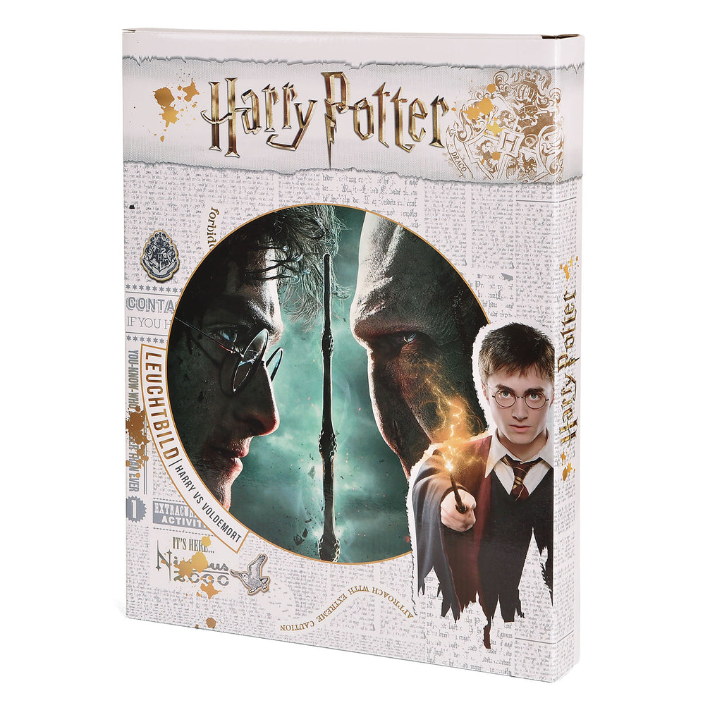 Immagine del prodotto Harry Potter - Harry vs. Voldemort Quadro con luce