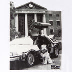 Product image Back to the Future - Einstein with DeLorean T-Shirt white
