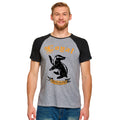 Immagine del prodotto Harry Potter - T-Shirt Leale Hufflepuff Grigia