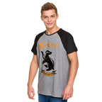 Immagine del prodotto Harry Potter - T-Shirt Leale Hufflepuff Grigia