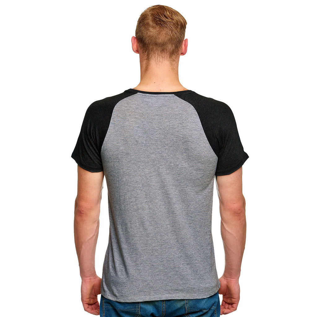 Immagine del prodotto Harry Potter - T-Shirt Leale Hufflepuff Grigia