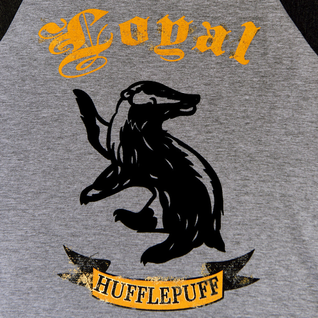 Immagine del prodotto Harry Potter - T-Shirt Leale Hufflepuff Grigia
