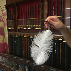 Product image Harry Potter - Wingardium Leviosa Wand & Feather Set