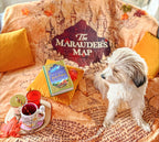 Immagine del prodotto Harry Potter - Mappa del Malandrino Coperta morbida con pelo di orso di peluche