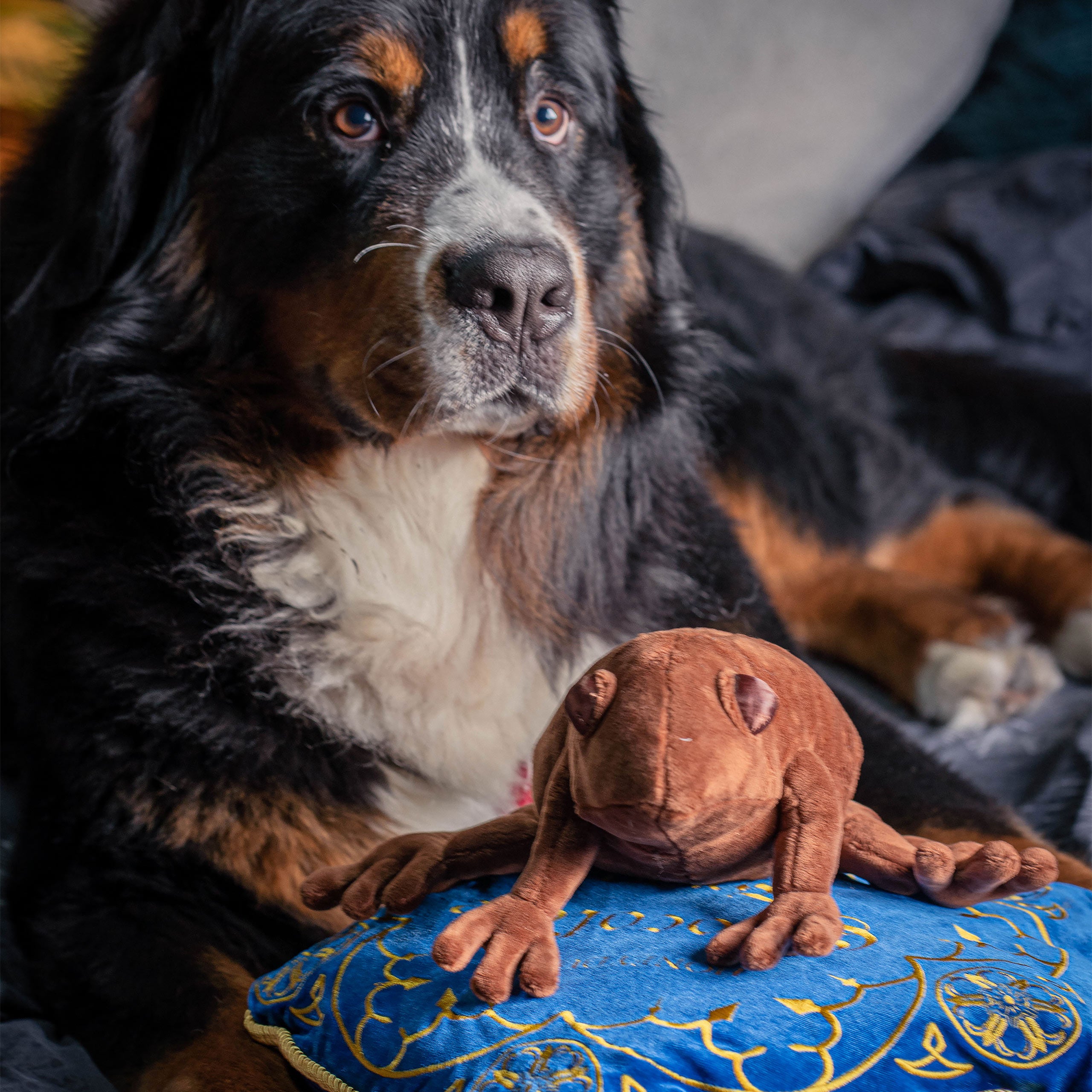 Immagine del prodotto Harry Potter - Cuscino Cioccorana con Figura di Peluche