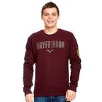 Product image Harry Potter - Team Gryffindor Sweater red