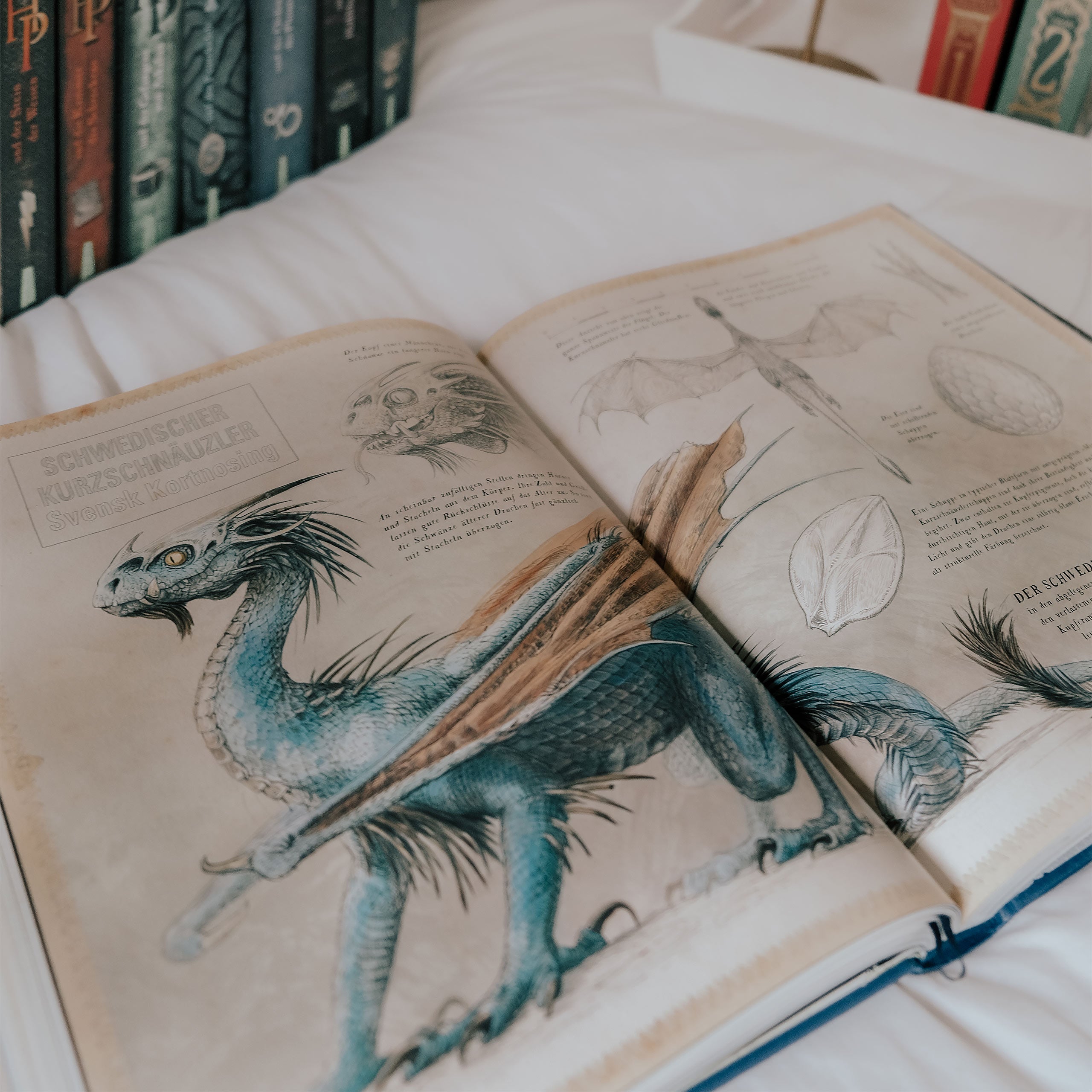 Immagine del prodotto Harry Potter e il Calice di Fuoco - Edizione Speciale