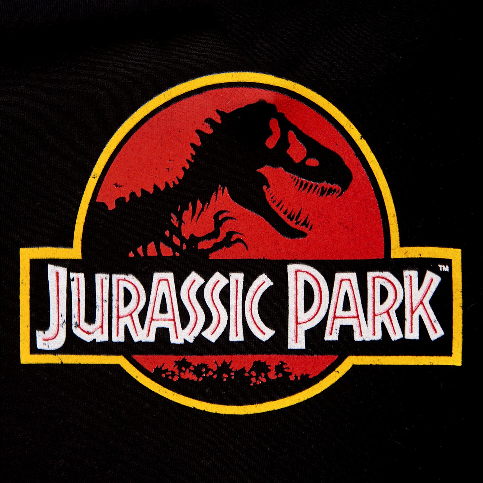 Immagine del prodotto Jurassic Park - Logo del film Felpa con cappuccio per bambini nera