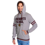 Immagine del prodotto Harry Potter - Felpa con cappuccio della Scuola Hogwarts grigia