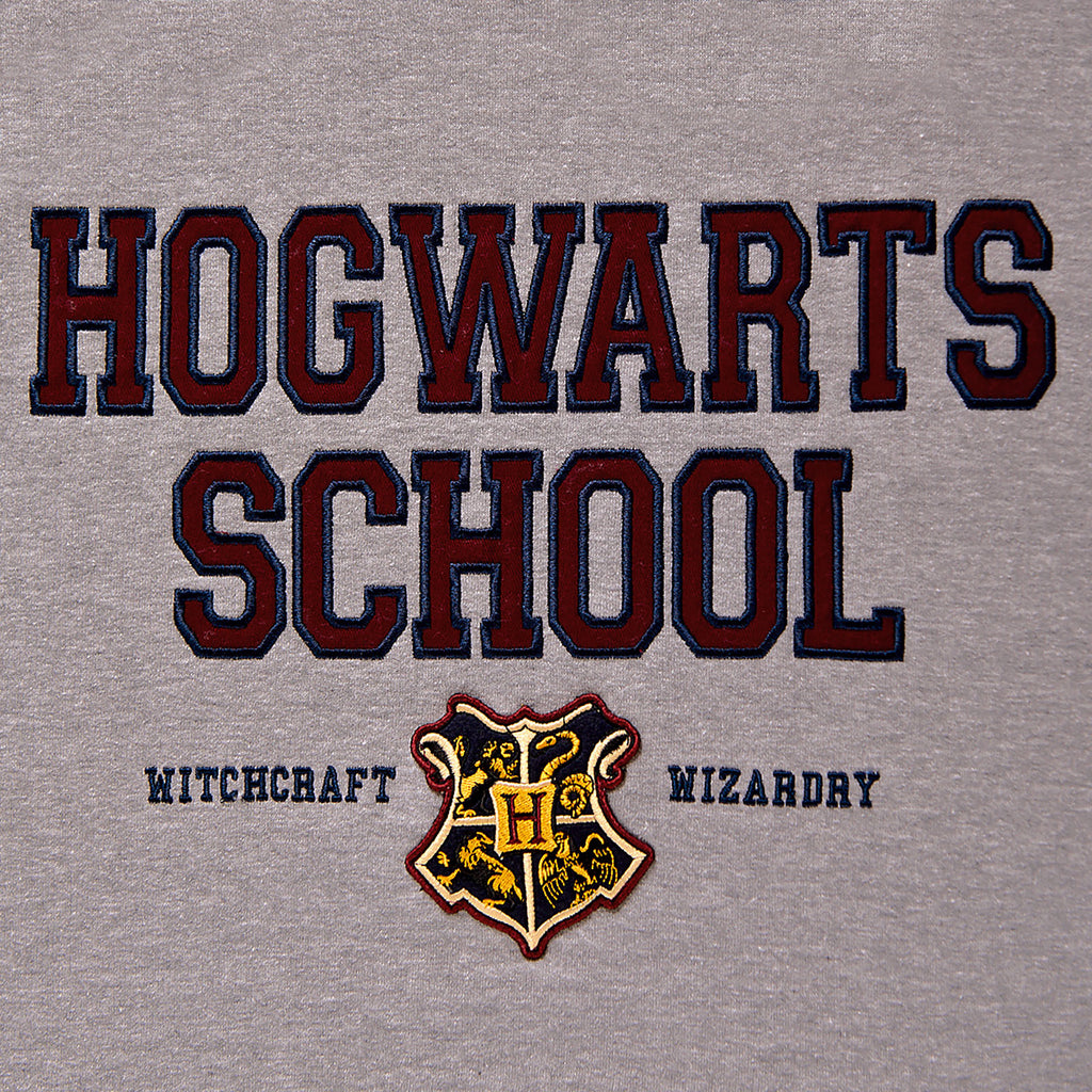 Immagine del prodotto Harry Potter - Felpa con cappuccio della Scuola Hogwarts grigia