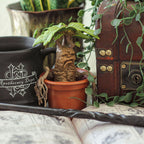 Product image Mandrake - Harry Potter Magical Creatures Figure