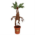Immagine del prodotto Harry Potter - Mandragora Peluche in Vaso con Suono 46 cm