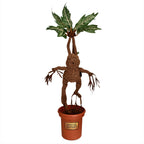 Immagine del prodotto Harry Potter - Mandragora Peluche in Vaso con Suono 46 cm