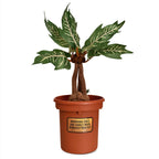 Immagine del prodotto Harry Potter - Mandragora Peluche in Vaso con Suono 46 cm