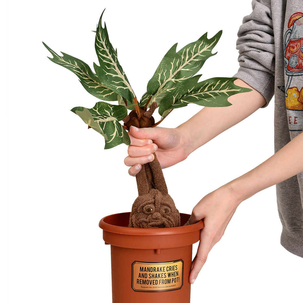 Immagine del prodotto Harry Potter - Mandragora Peluche in Vaso con Suono 46 cm