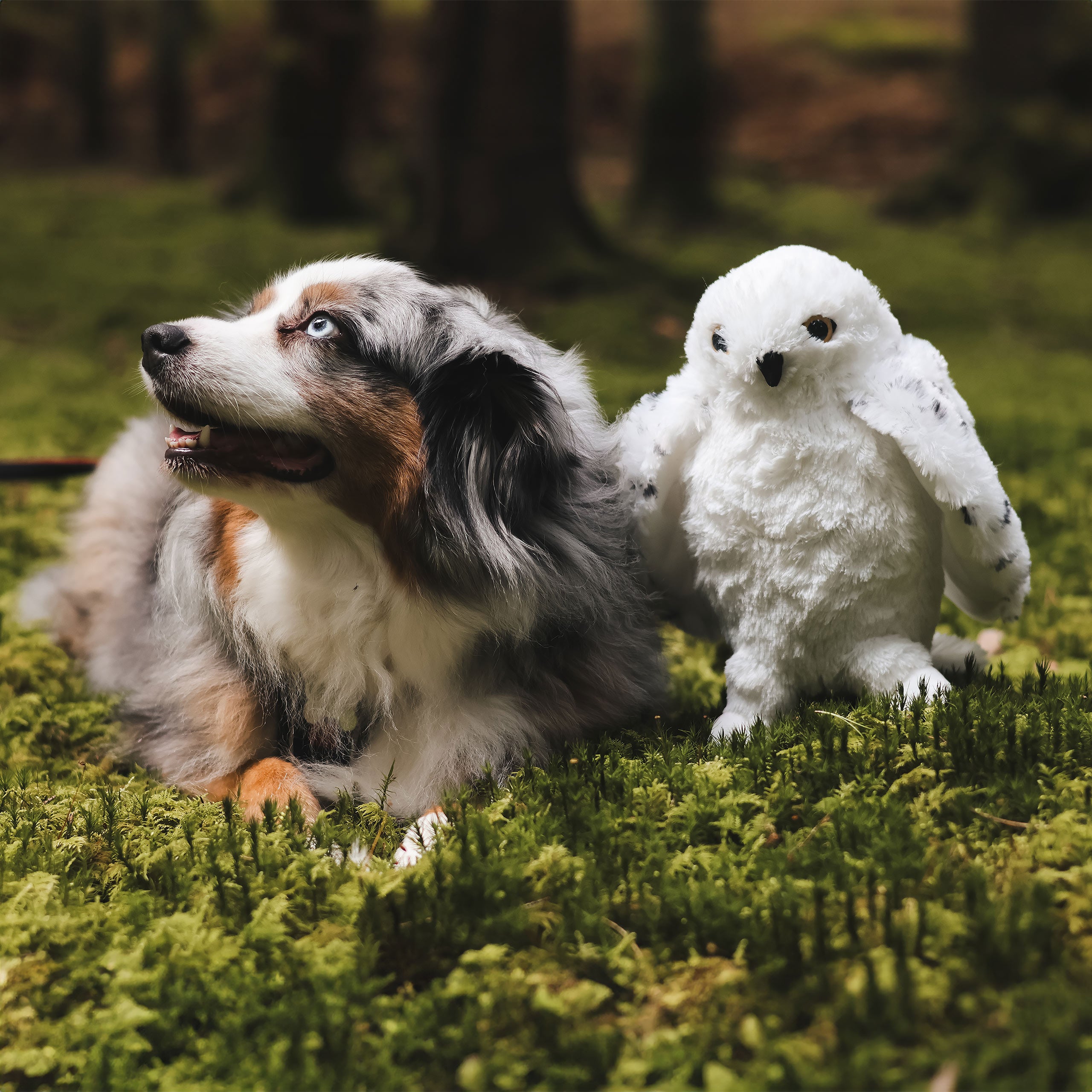 Immagine del prodotto Figura di peluche di Hedwig con ali aperte 28 cm - Harry Potter