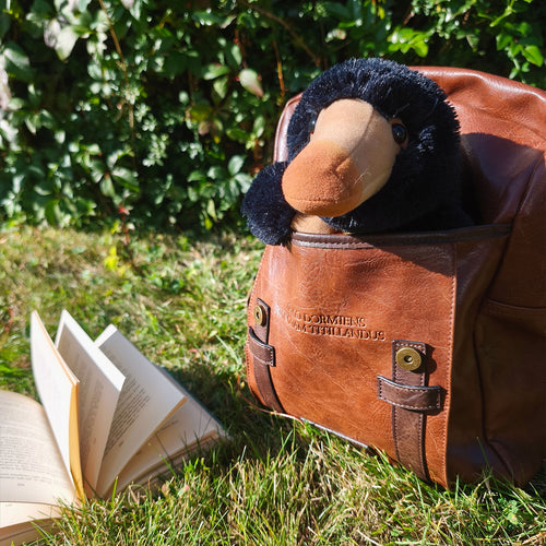 Immagine del prodotto Figura di peluche Niffler 25 cm - Animali Fantastici