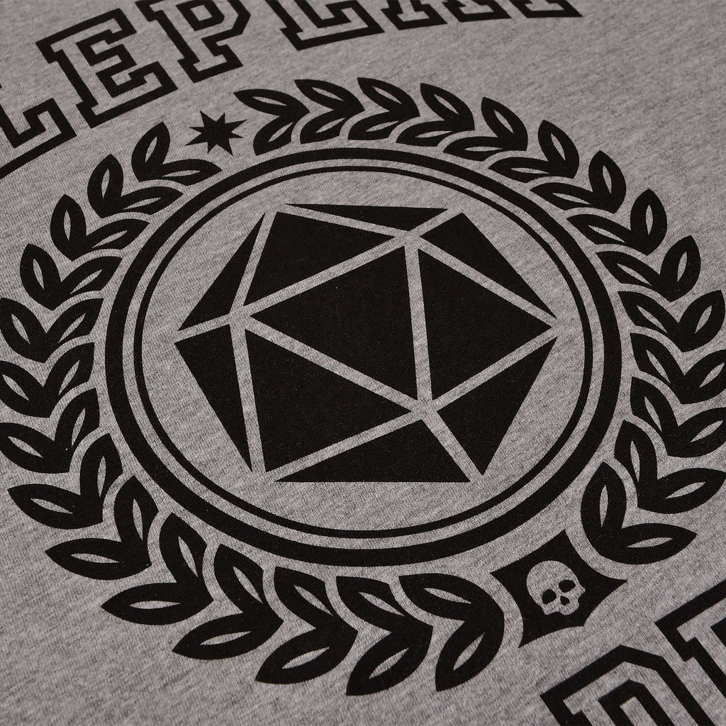 Product image Roleplay Academy T-Shirt grey