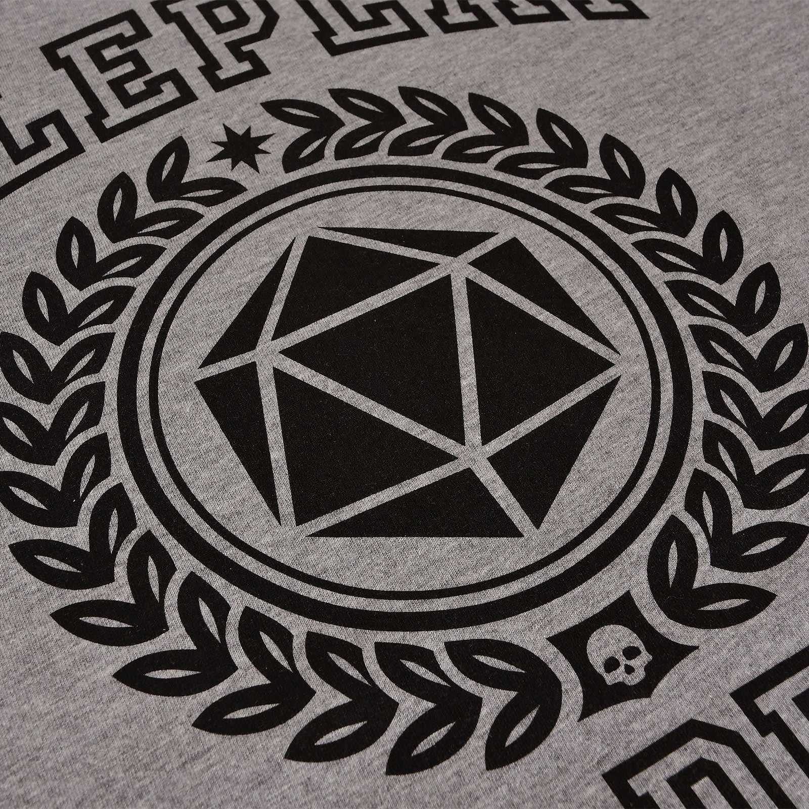 Immagine del prodotto T-shirt grigia della Roleplay Academy