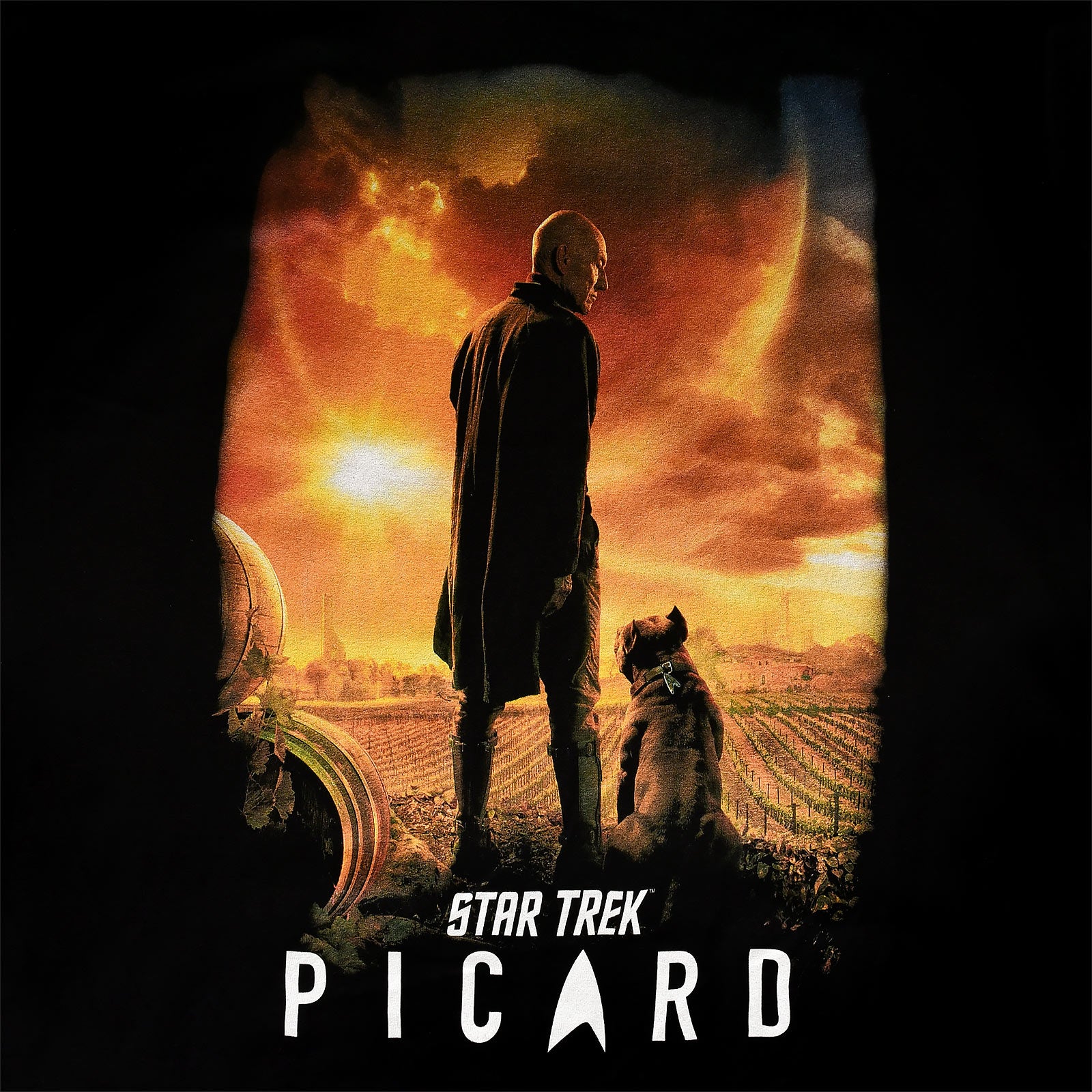 Immagine del prodotto Star Trek - T-shirt nera con poster di Picard