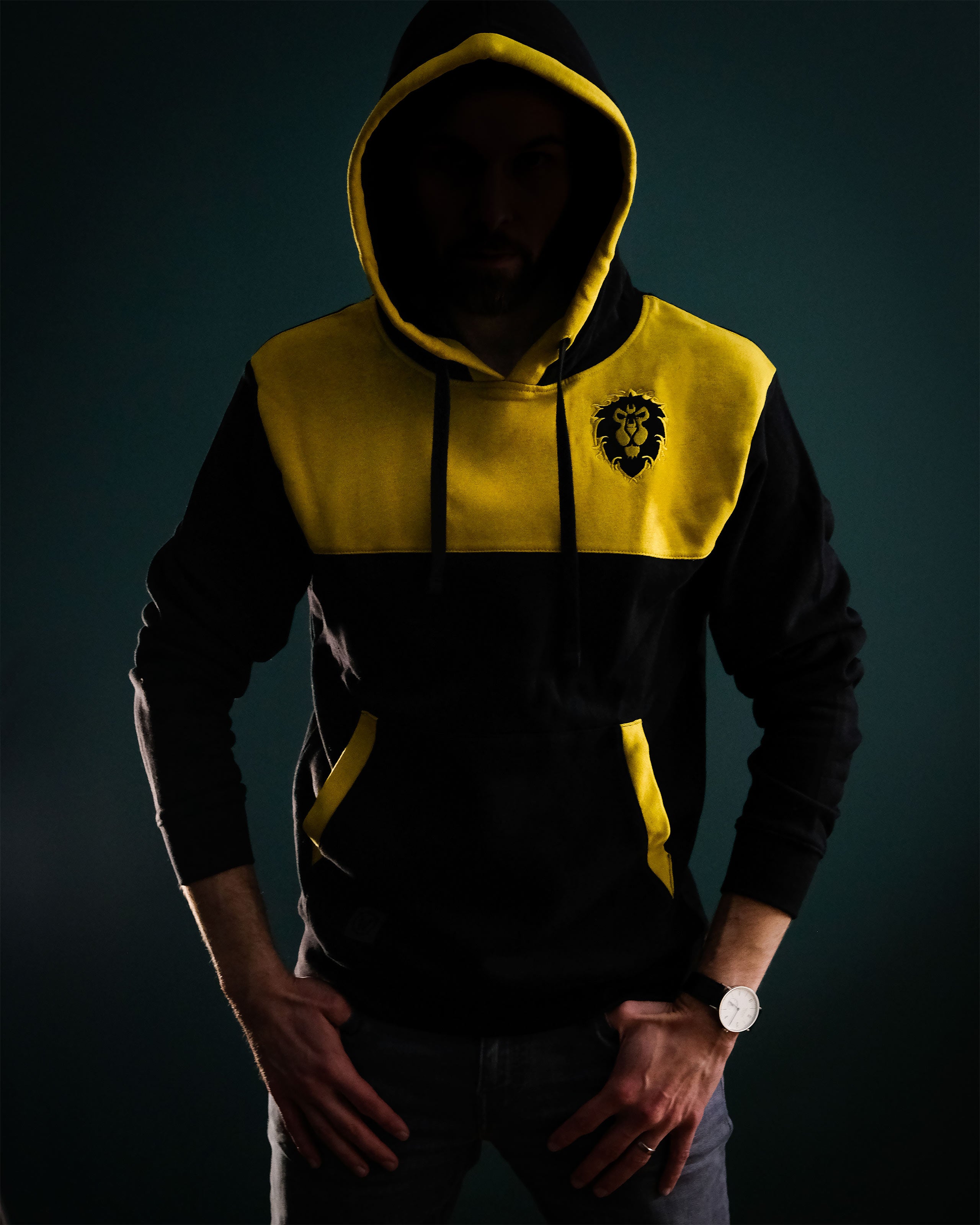 Immagine del prodotto World of Warcraft - Alliance to the End Hoodie