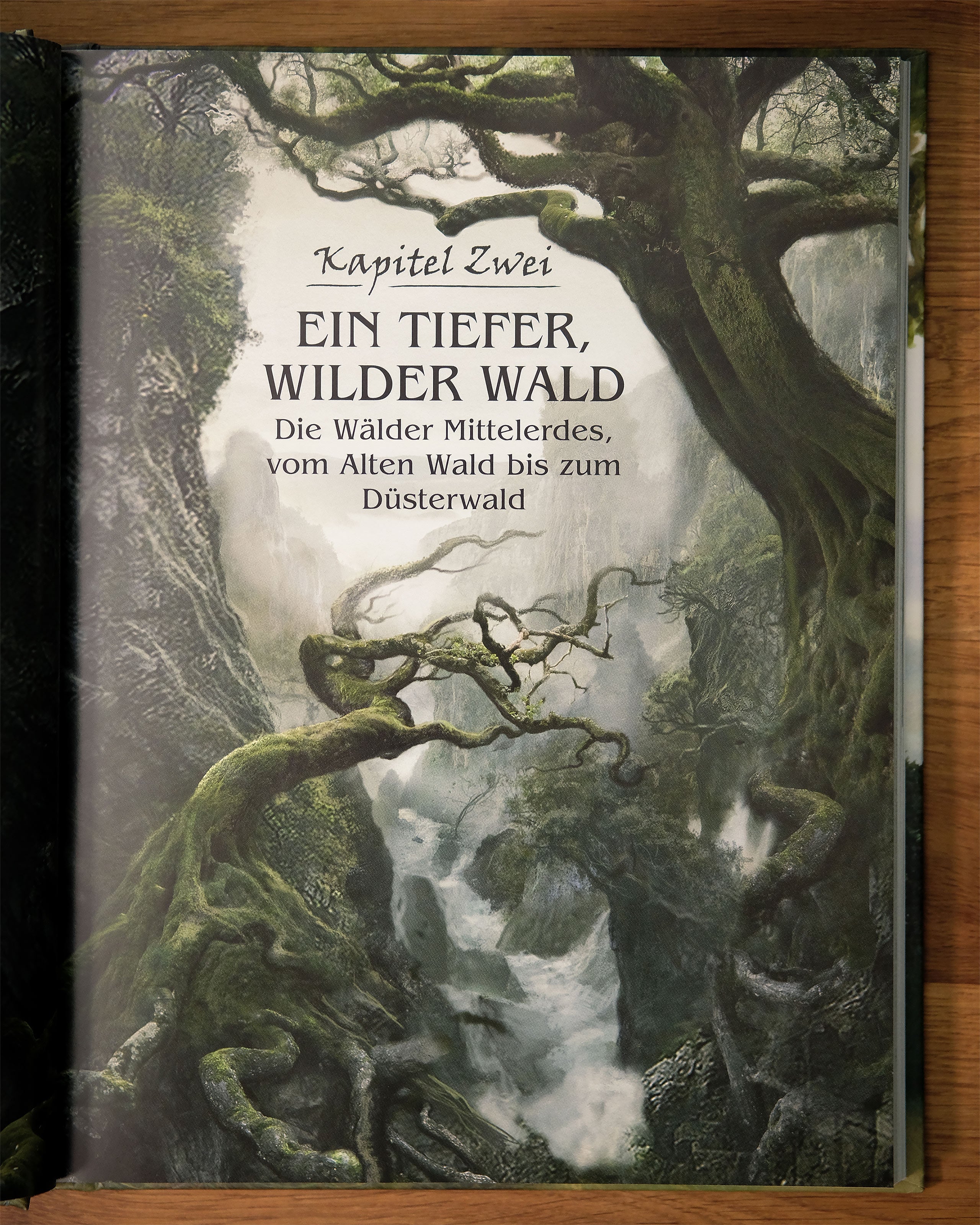 Immagine del prodotto Viaggio attraverso la Terra di Mezzo - Illustrazioni da Hobbiton a Mordor