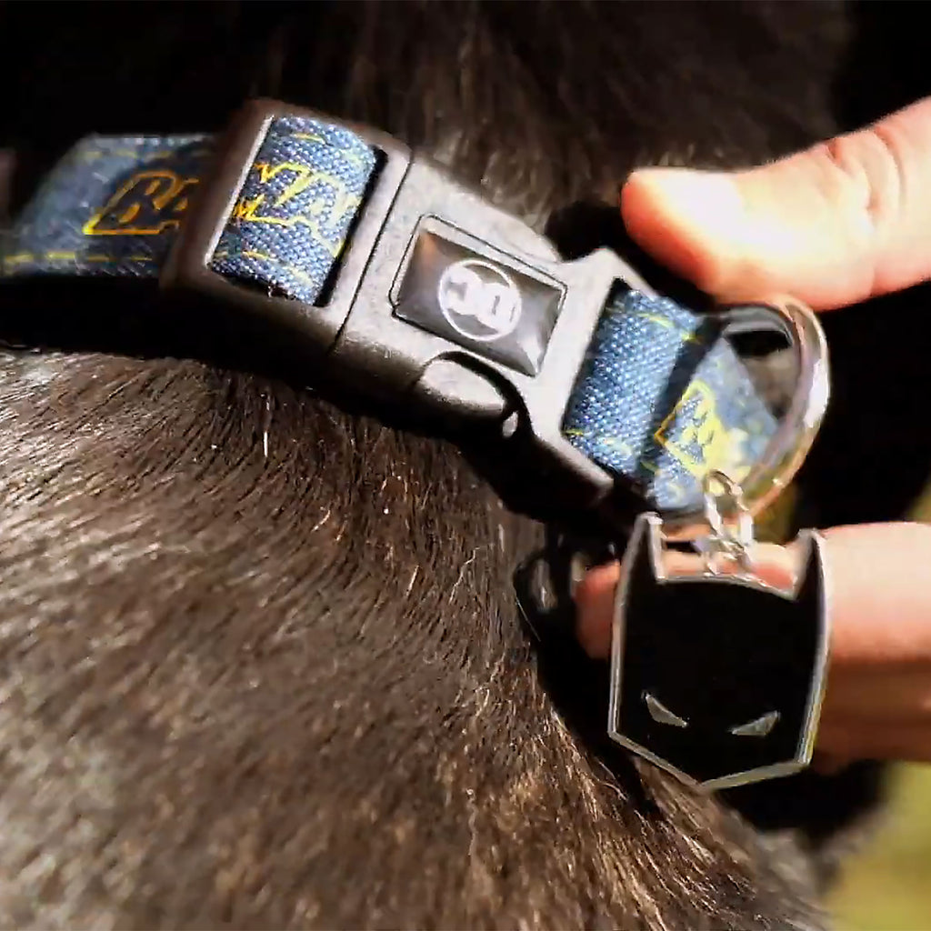 Immagine del prodotto Collare per cani Batman Click blu