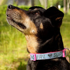 Immagine del prodotto Collare per cani Supergirl Click in rosa-blu