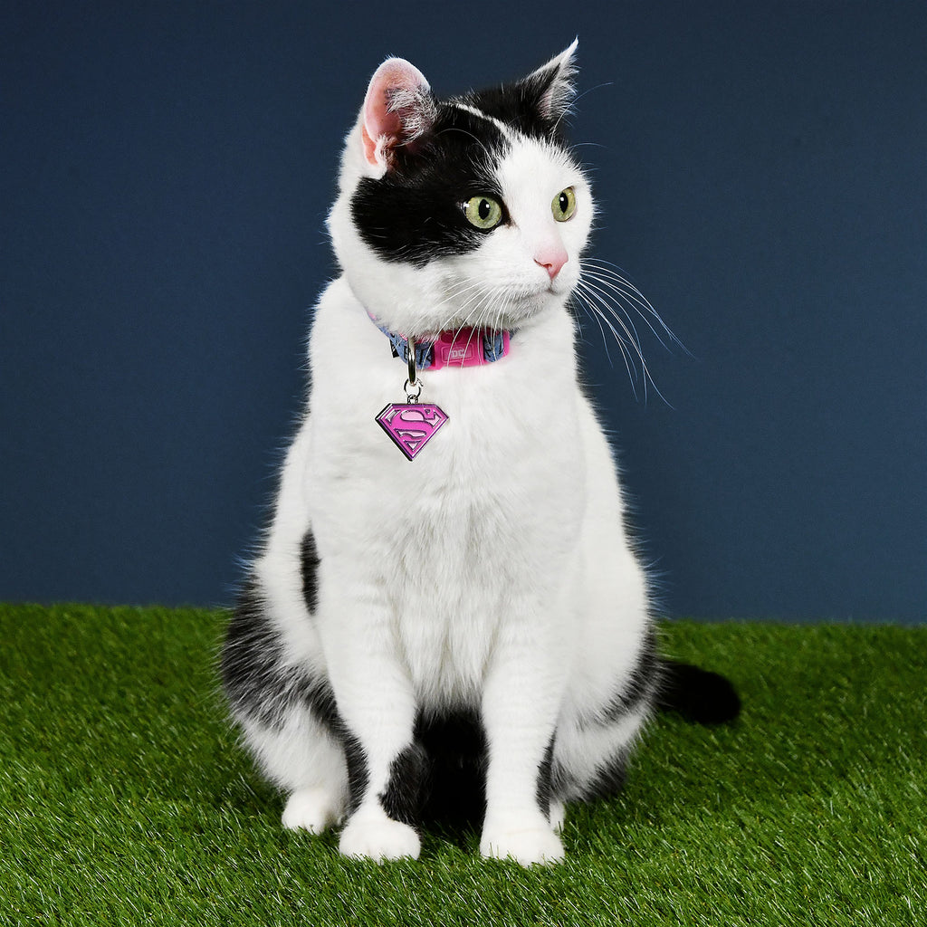 Immagine del prodotto Collare per cani Supergirl Click in rosa-blu