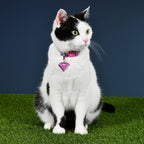 Immagine del prodotto Collare per cani Supergirl Click in rosa-blu