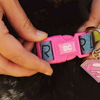 Immagine del prodotto Collare per cani Supergirl Click in rosa-blu