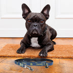 Immagine del prodotto Guinzaglio per cani Batman blu