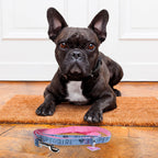 Immagine del prodotto Guinzaglio per cani Supergirl rosa-blu