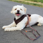 Product image Star Wars - Chewbacca Dog Harness Brown