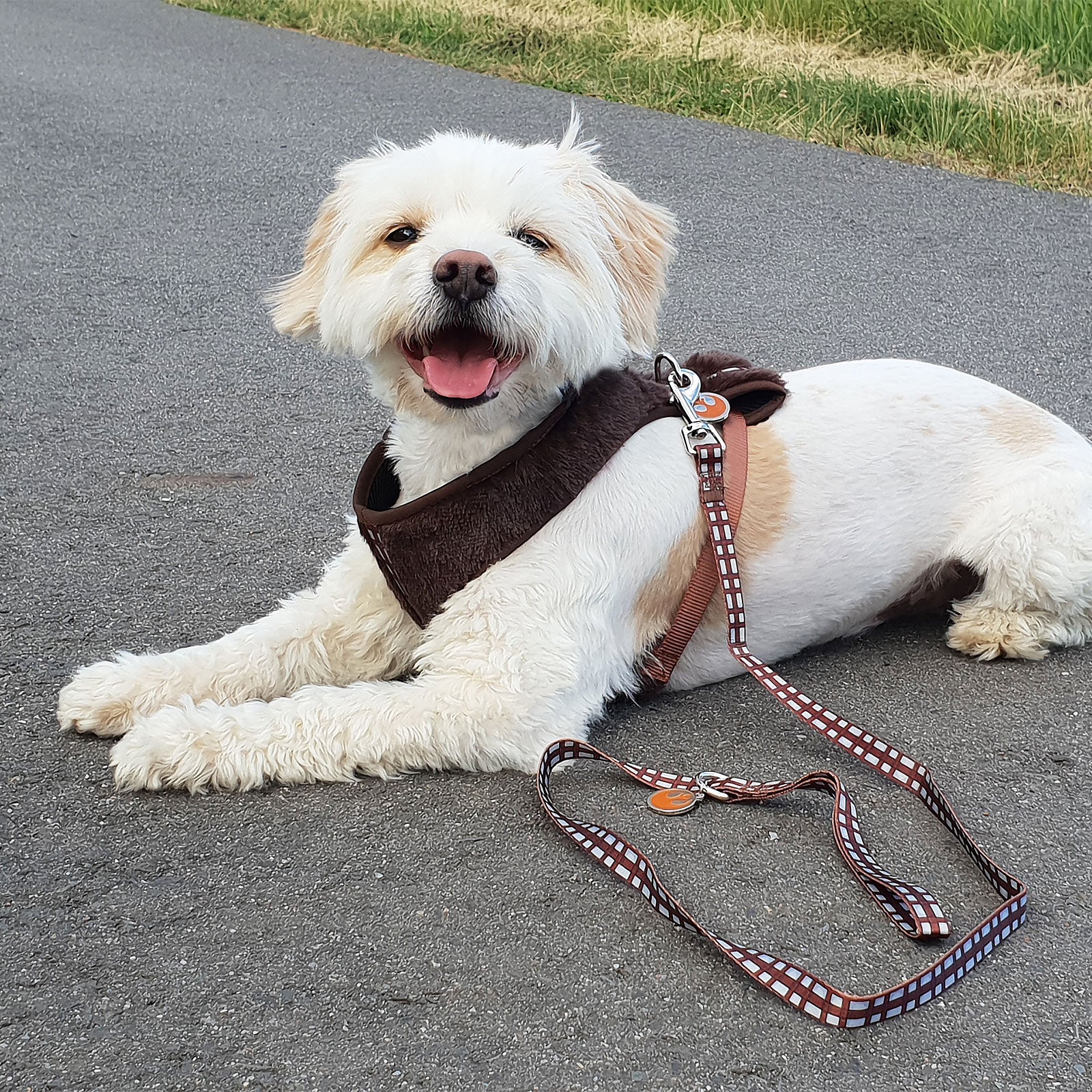 Product image Star Wars - Chewbacca Dog Harness Brown