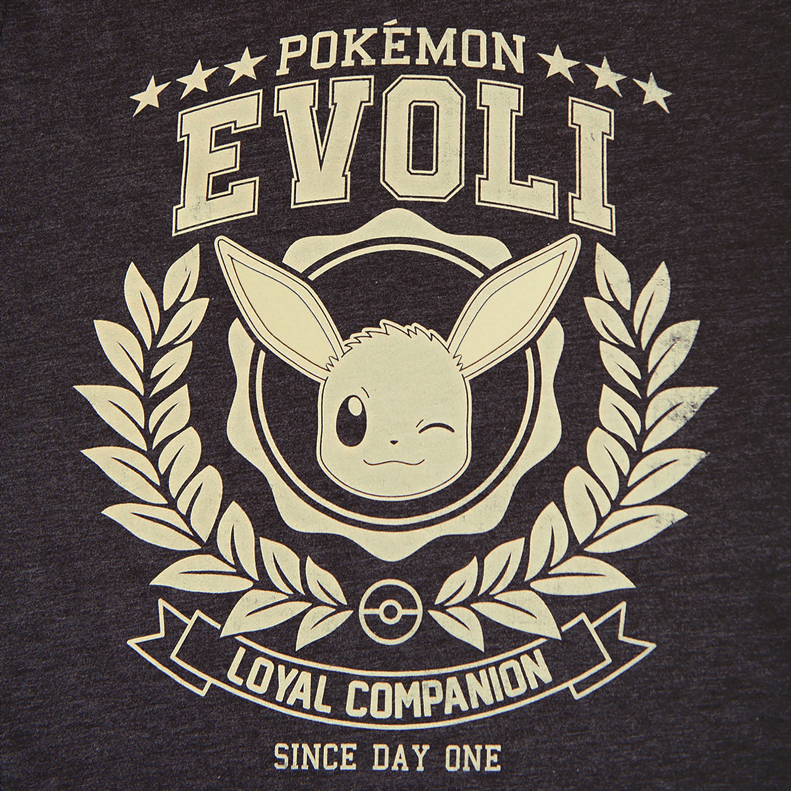 Immagine del prodotto Pokemon - Evoli Loyal Companion T-shirt grigia
