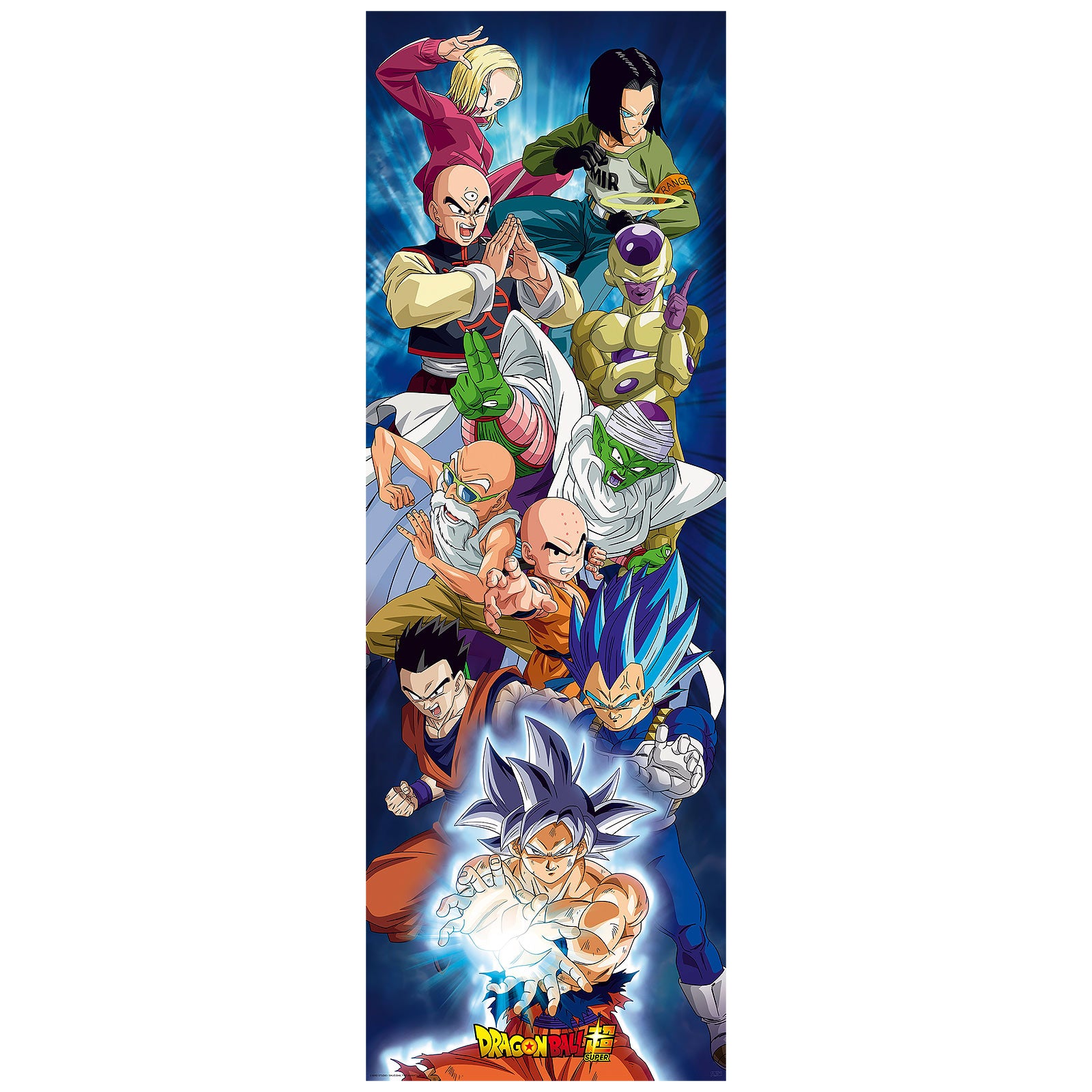 Immagine del prodotto Dragon Ball Super - Poster porta del Gruppo Universo 7