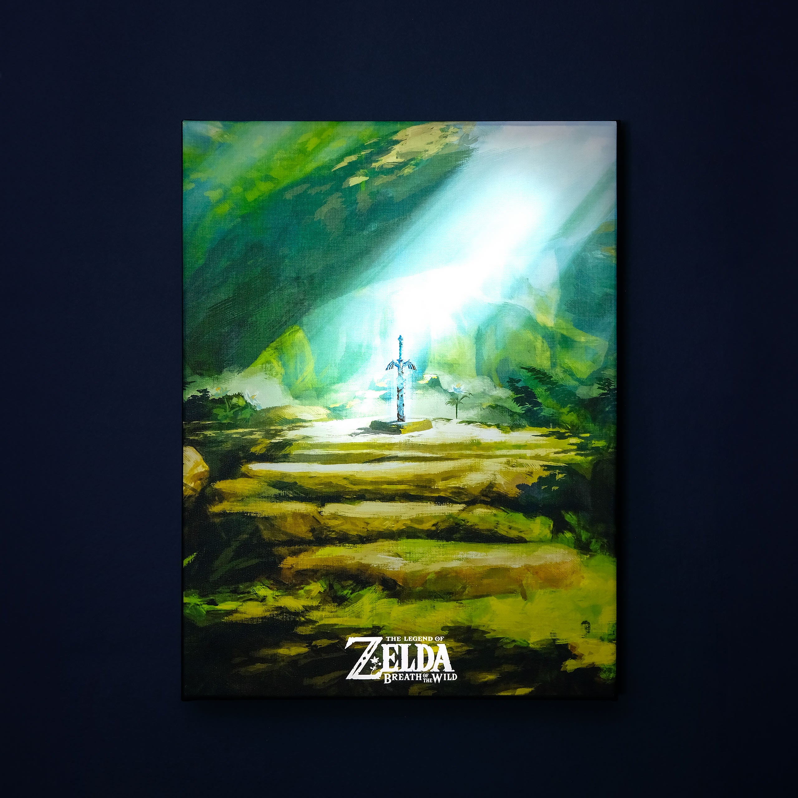 Immagine del prodotto Zelda - Quadro da parete della Spada Suprema con luce