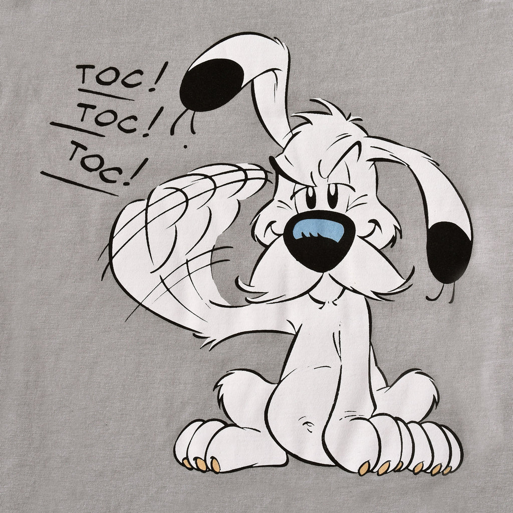 Immagine del prodotto Asterix - T-shirt donna Idefix grigia