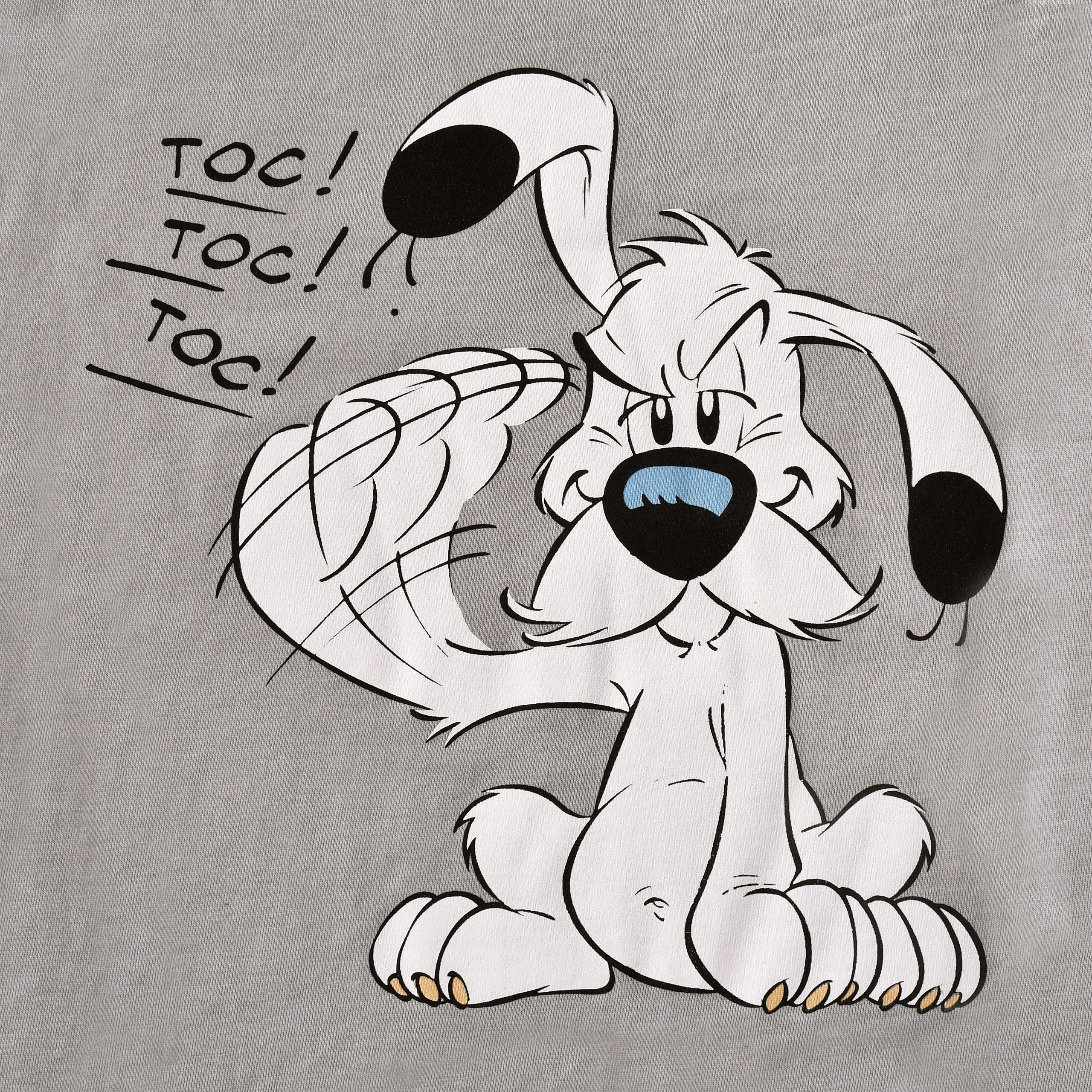 Immagine del prodotto Asterix - T-shirt donna Idefix grigia
