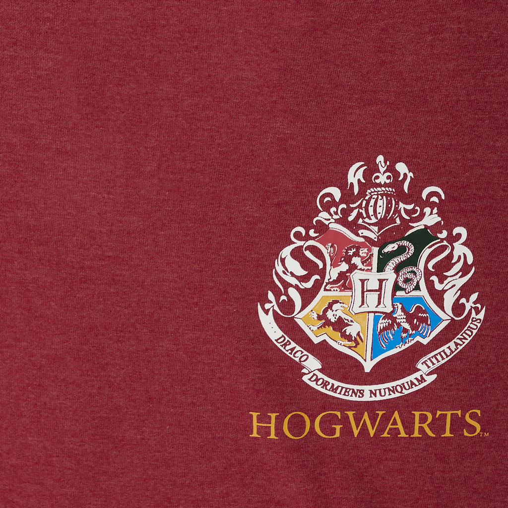 Immagine del prodotto T-shirt Oversize da Donna Harry Potter Gryffindor Cercatore rossa