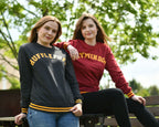 Immagine del prodotto Harry Potter - Maglione da College Hufflepuff grigio