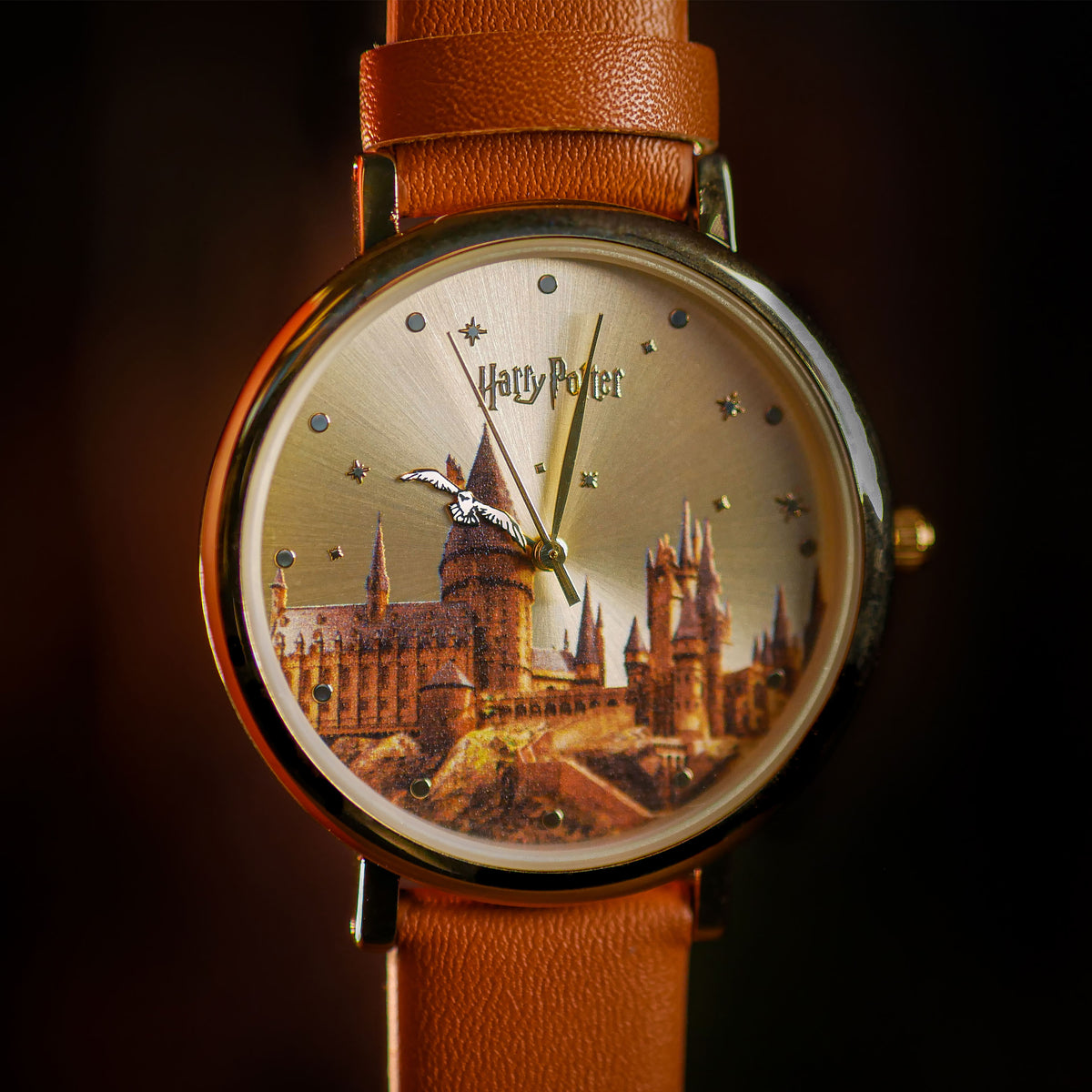 Immagine del prodotto Harry Potter - Orologio da Polso Castello di Hogwarts