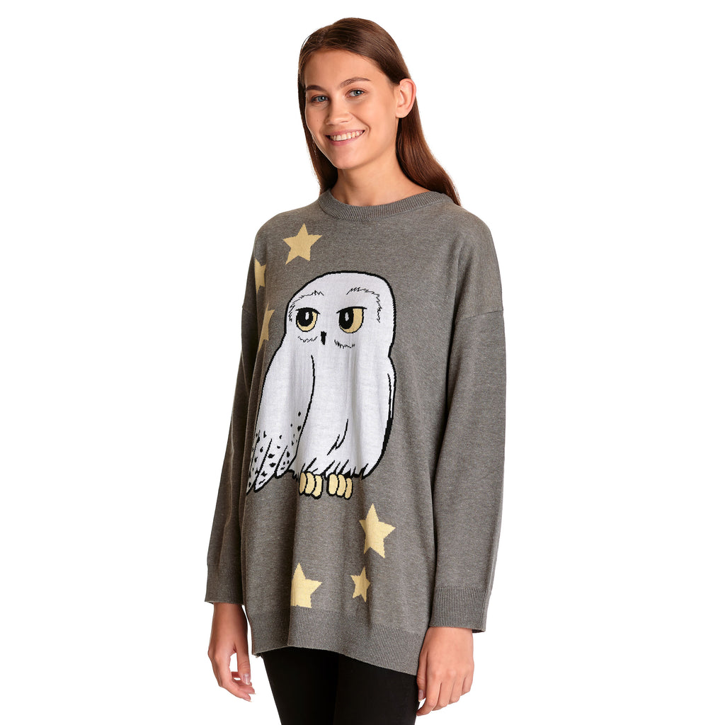 Immagine del prodotto Harry Potter - Maglione Oversize Hedwig grigio