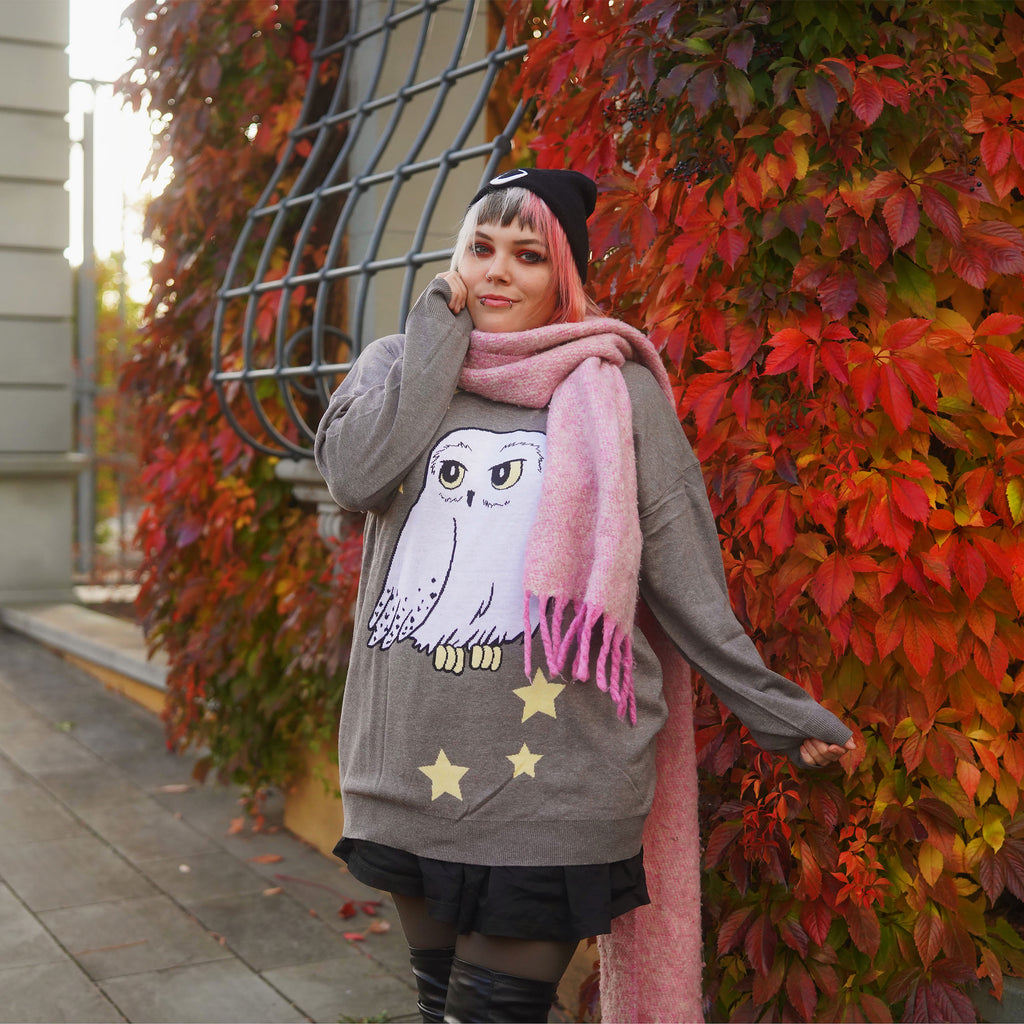 Immagine del prodotto Harry Potter - Maglione Oversize Hedwig grigio