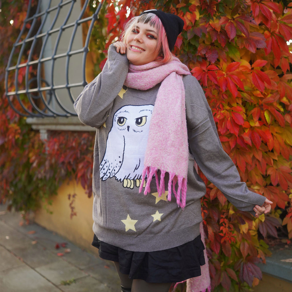 Immagine del prodotto Harry Potter - Maglione Oversize Hedwig grigio