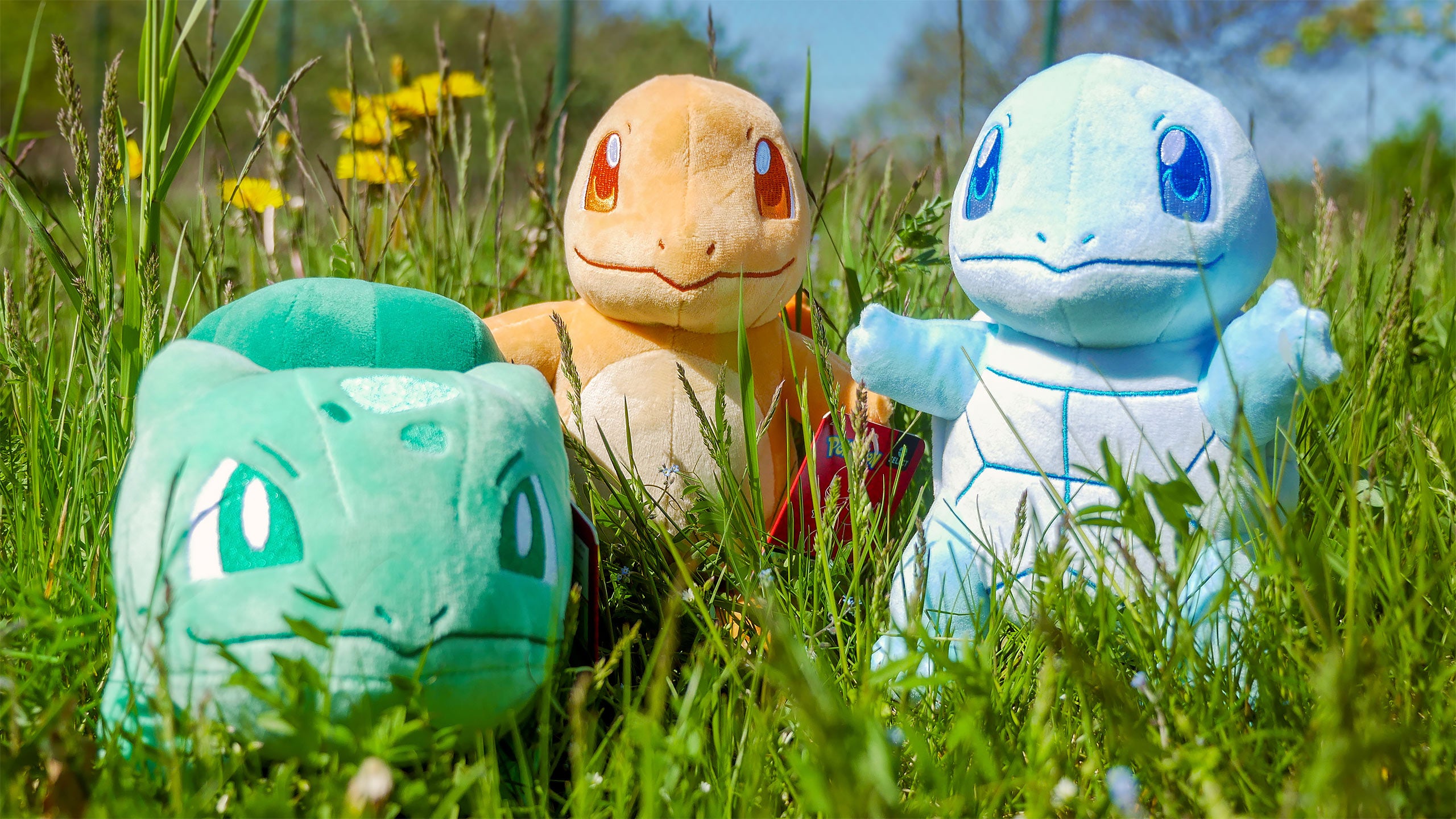 Product image Pokemon - Charmander Monochrome Plush Figure 22 cm