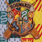 Immagine del prodotto Harry Potter - Boccale Deluxe Boccino d'Oro