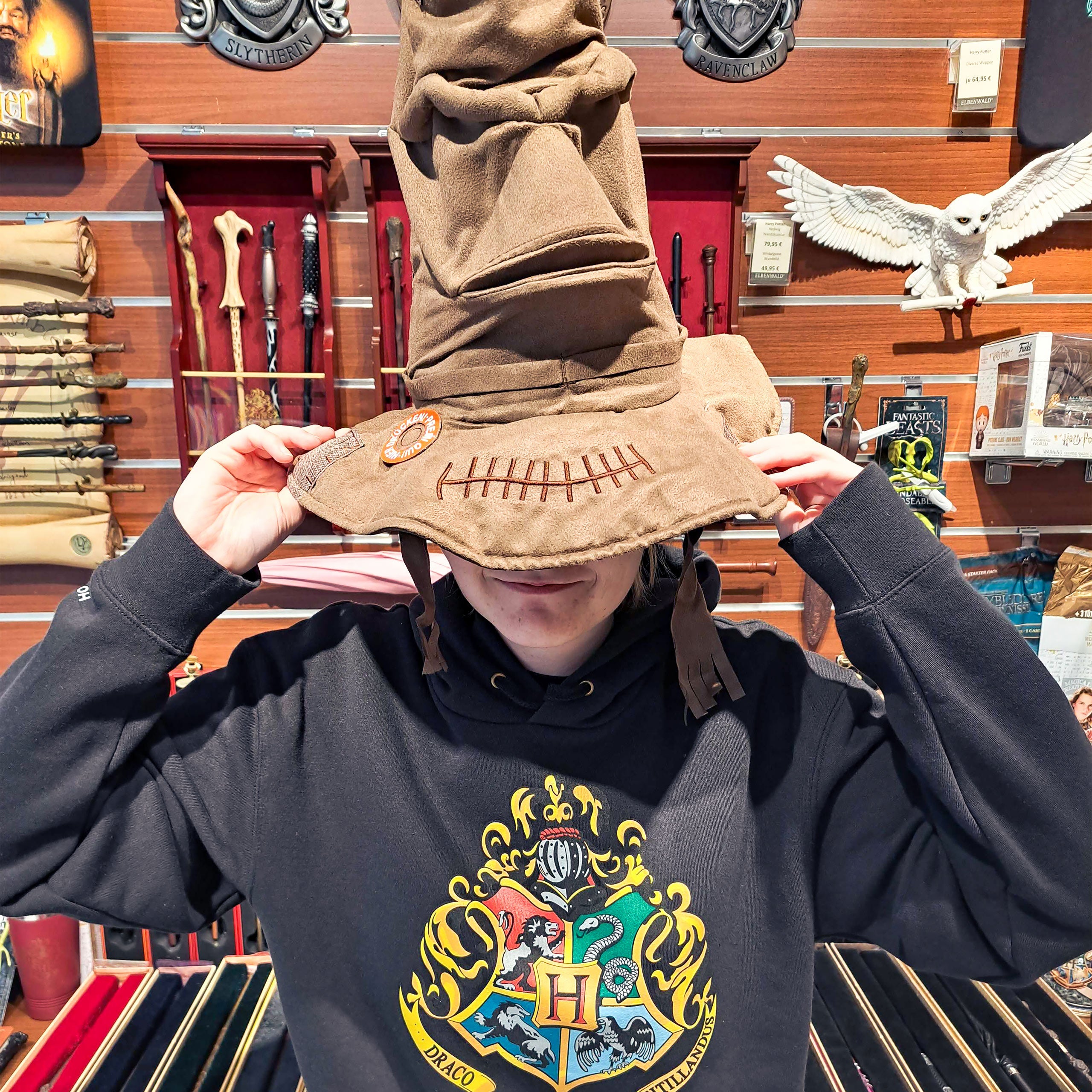 Immagine del prodotto Harry Potter - Cappello Parlante con suono e movimento
